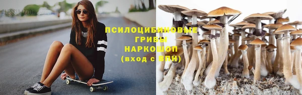 стаф Балахна