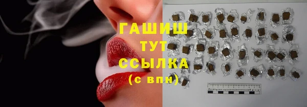 стаф Балахна