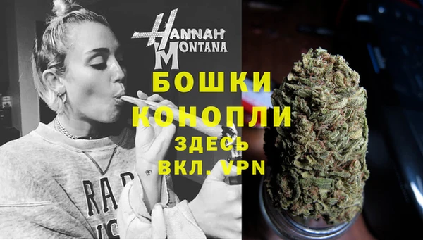 стаф Балахна