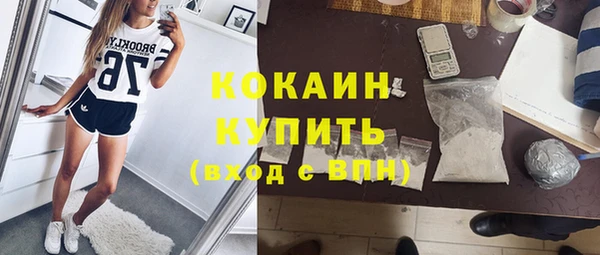 стаф Балахна