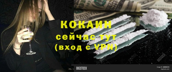 стаф Балахна